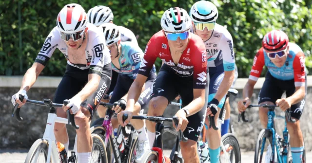 🇮🇹 Campionato Italiano U23
Ottima prova per i nostri ragazzi a Darfo Boario Terme!
🔥 Alessandro Cattani protagonista con un attacco a 40 km dall’arrivo e 9° posto finale, lottando ad armi pari con i talenti delle squadre sviluppo World Tour.
💥 Pietro Dapporto superlativo nella fuga di giornata

Avanti così, con coraggio e determinazione!
___

🇮🇹 Italian U-23 National Championship
Strong performance by our riders in Darfo Boario Terme!
🔥 Alessandro Cattani attacked 40 km from the finish and claimed 9th place, fighting on equal terms with the World Tour development teams' talents.
💥 Pietro Dapporto impressed in the breakaway of the day
Onwards with courage and determination!